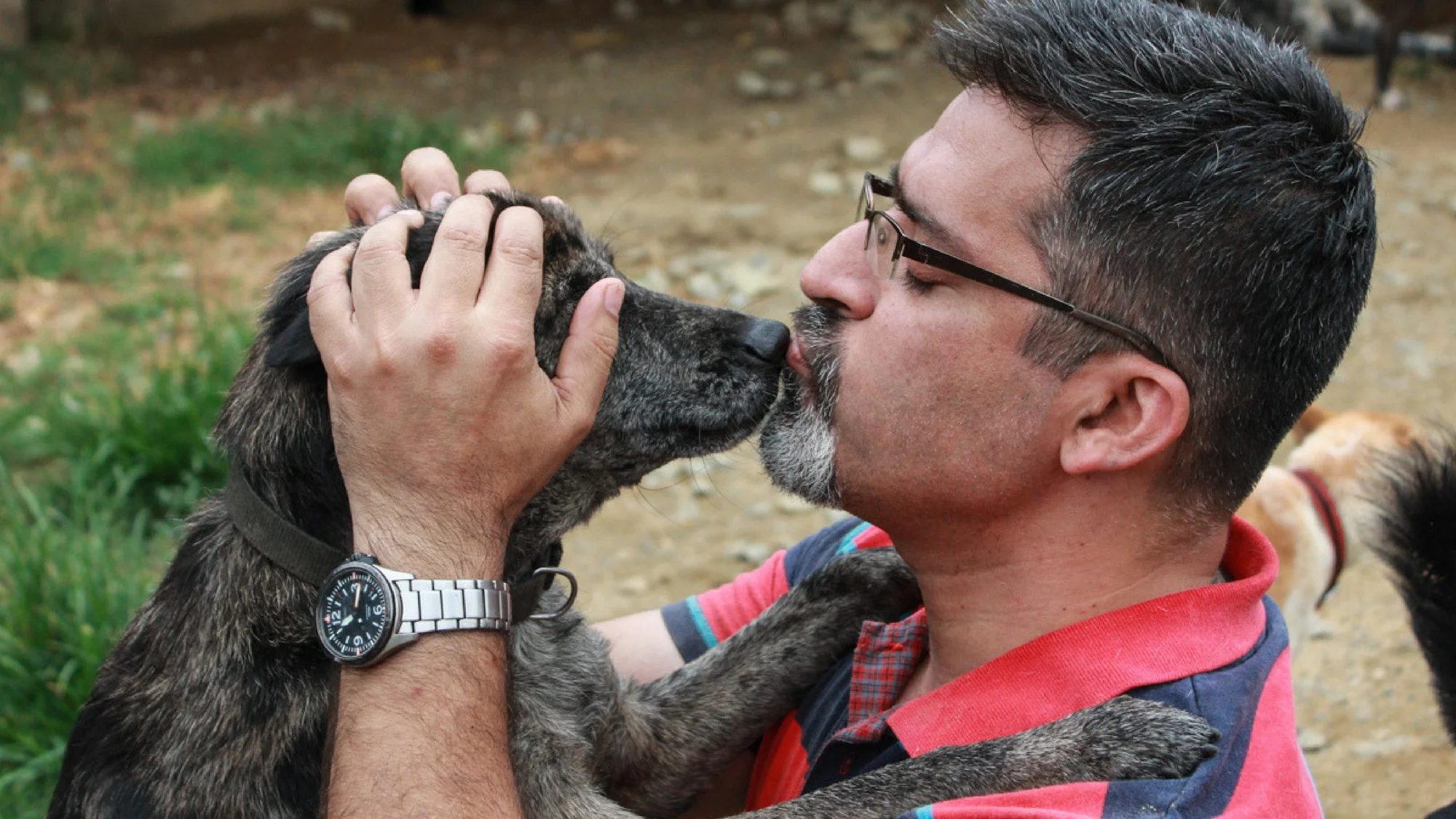 In Pics One Man is Giving Retired, Old Dogs a New Lease of Life The